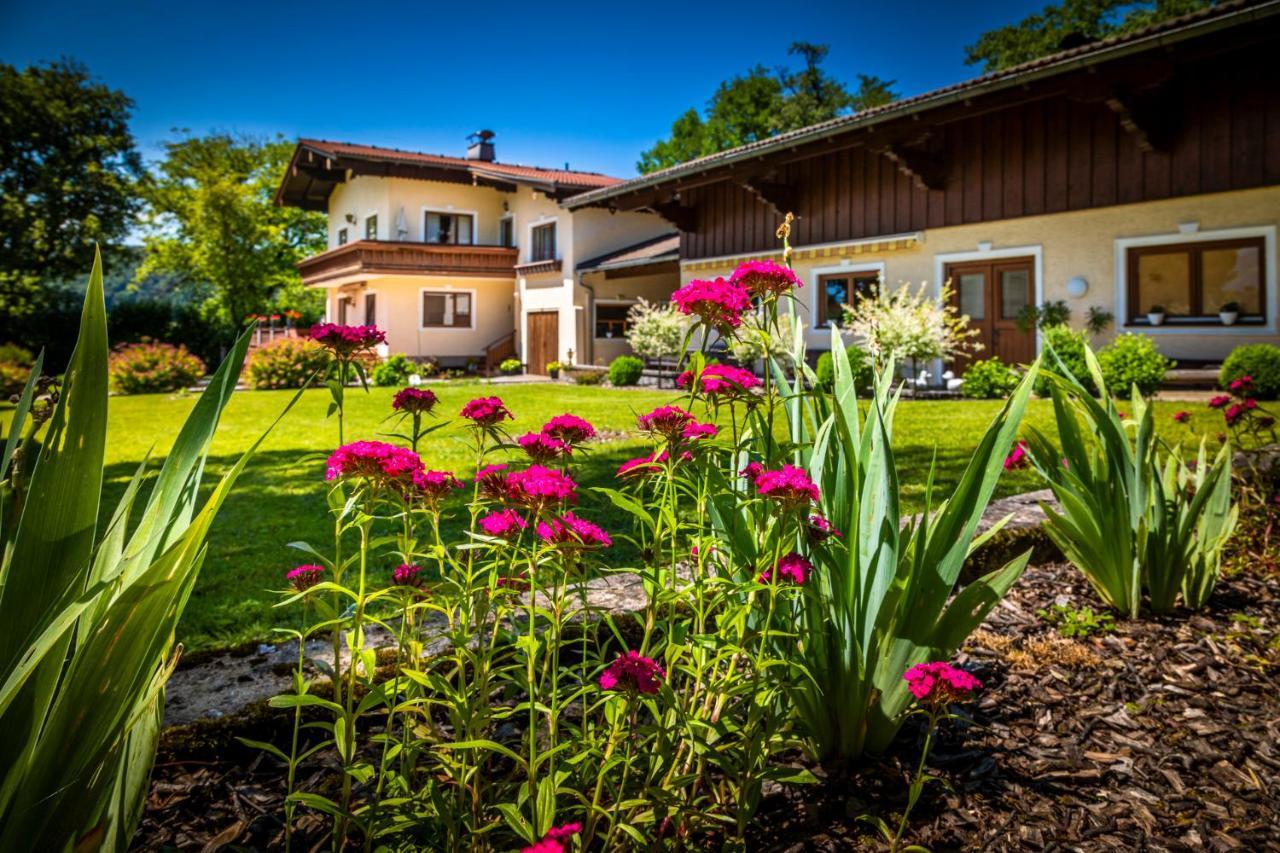 Ferienwohnung Wallmerhof Am Laendlichen Wimberg Adnet Extérieur photo